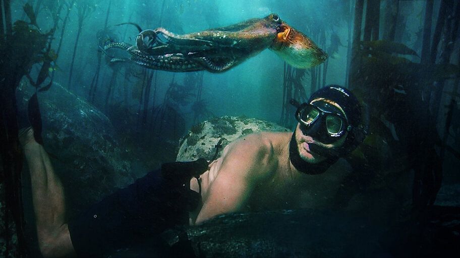 My Octopus Teacher (image via Netflix)